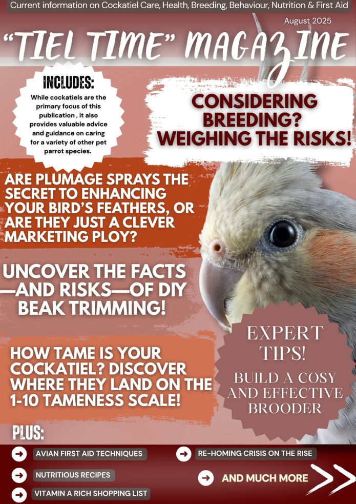 Tiel Time edition 10